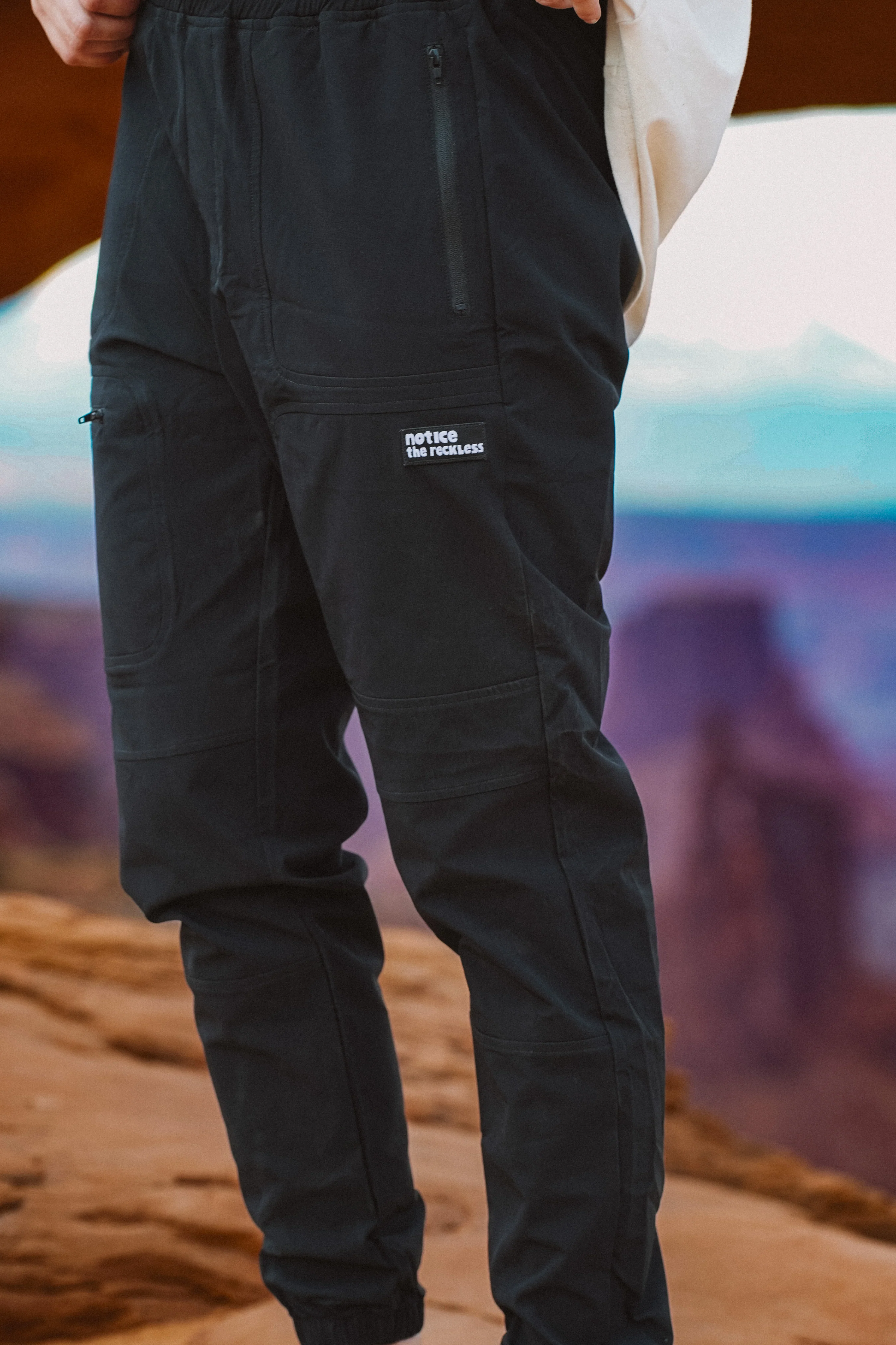 The Reckless Hiking Pants